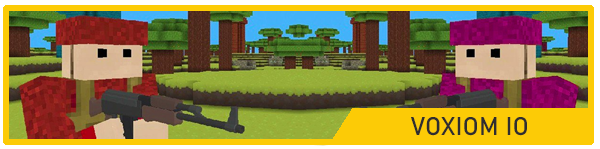 Voxiom io